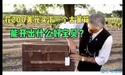 古董大师模拟器捡漏寻宝