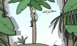 孤岛冒险求生任务哪里看