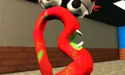 新版猫咪官网直接进入：探索全新猫咪世界的奇妙旅程