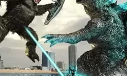 老夫子传媒入口众乐乐，带你领略多元文化的魅力