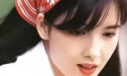 探索91精产品视频一二二区的魅力与创新