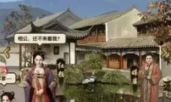 极品芝麻官卡智攻略