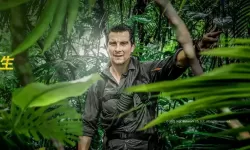 荒野探险类综艺