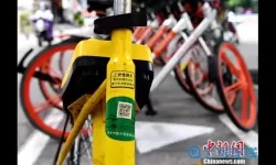 考驾照模拟器怎么用