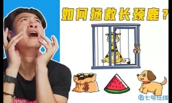 脑洞大师pk守卫打开牢门