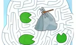 迷宫大挑战一年级