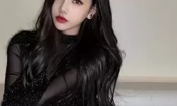 探索欧洲mv清砖码区免费观看的奥秘与魅力