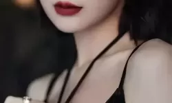 探索一本三道无线码一区网页版的魅力与应用