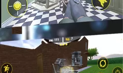 杏花开放视频播放：春天的浪漫与希望