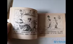 三十六计苦肉计