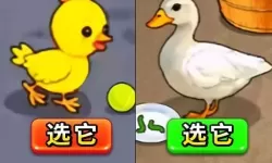 肉先生滑轮怎么获得