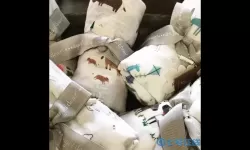 丧尸派对怀抱襁褓的照片