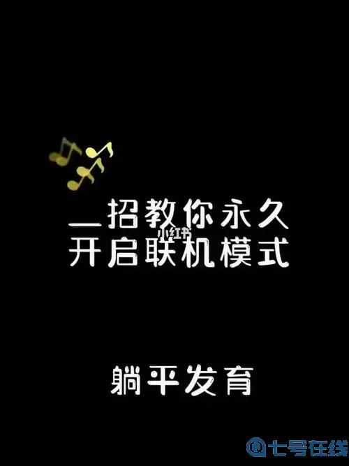 躺平发育神秘代码复制后怎么用