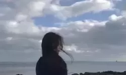 探访伊园院区一一一区区区的独特魅力