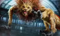 神奇动物大冒险完结了吗