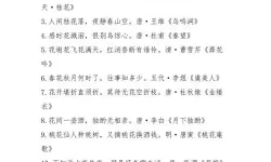 诗词大会飞花令山