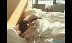 揭开恶魔天使的双后门之谜