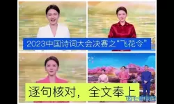 诗词大会飞花令数字