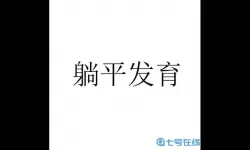 躺平发育躺平石有什么用