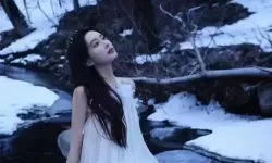 91大象乌鸦天美果冻的奇幻冒险