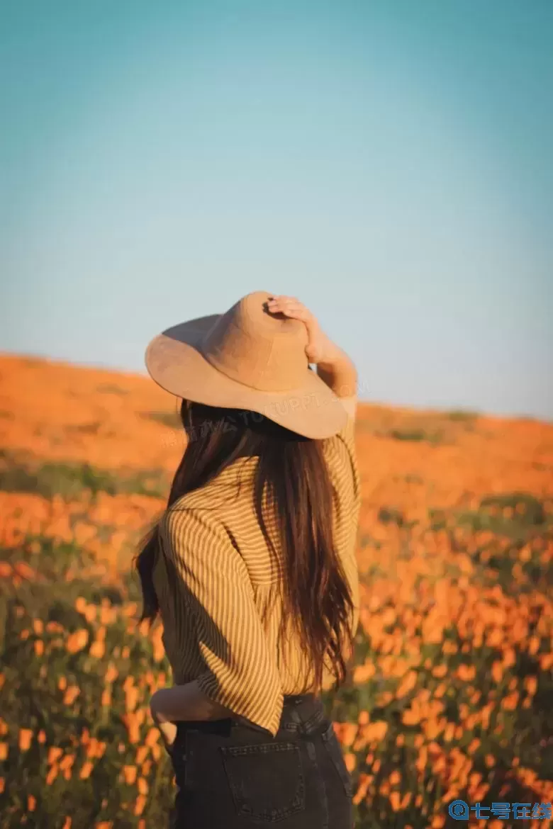 国产卡一卡二仙踪林