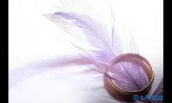 ro手游 柔软的羽毛