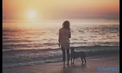 探索天堂伞在线观看的奇妙世界