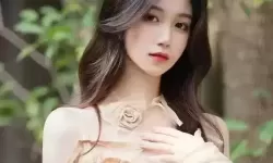 庥豆影视媒体在线观看：探索无限影视世界的便捷之选