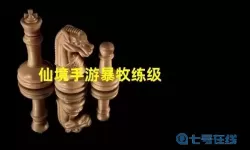 ro手游暴牧挂机