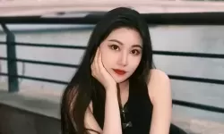 草莓茄子丝瓜秋葵官网：探索健康美味的四季蔬果