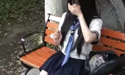 hp公交车灌溉系统隐形人：科技与生活的奇妙交错