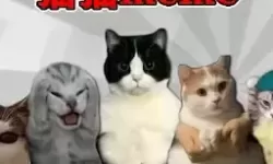 传奇世界手游强制离婚