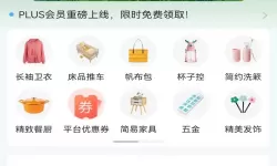 全是肉的车文：饕餮盛宴的极速之旅