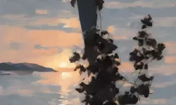 婶晚上一个人寂寞，心事如潮涌动