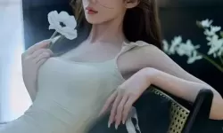 暴躁老阿姨CSGO最新版本：游戏内的幽默与挑战