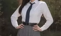 私人秘书》：职场中的爱与职能的错位探讨