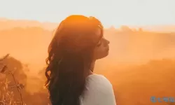 探索麻豆传传媒久久久爱的魅力与影响