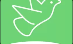 浮乱的家庭：在混沌中寻找爱的光芒