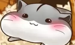 弹弹堂手游凤凰碎片