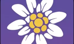 台北nana被困洗衣机的惊险故事