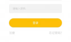 篮球队的肉器队长正伟：领袖的力量与团队的团结