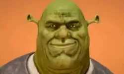 旅游换伴交流：杨兰与刘丹的精彩旅程