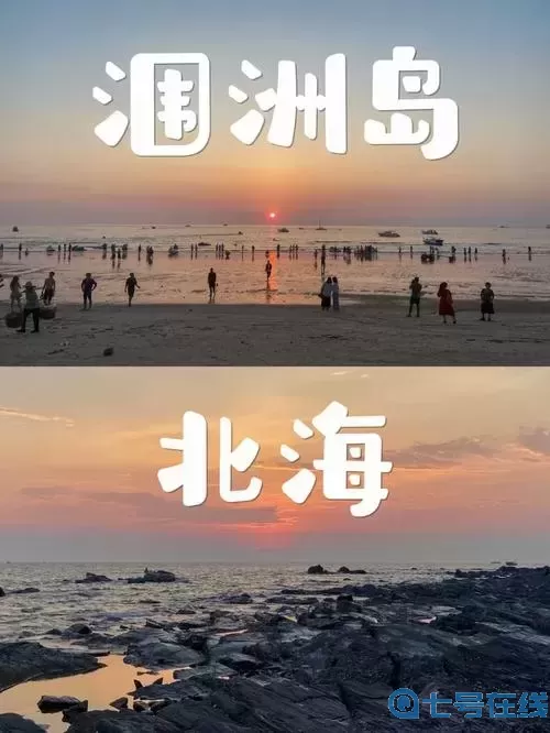 我的小岛郁郁葱葱,永远是夏天