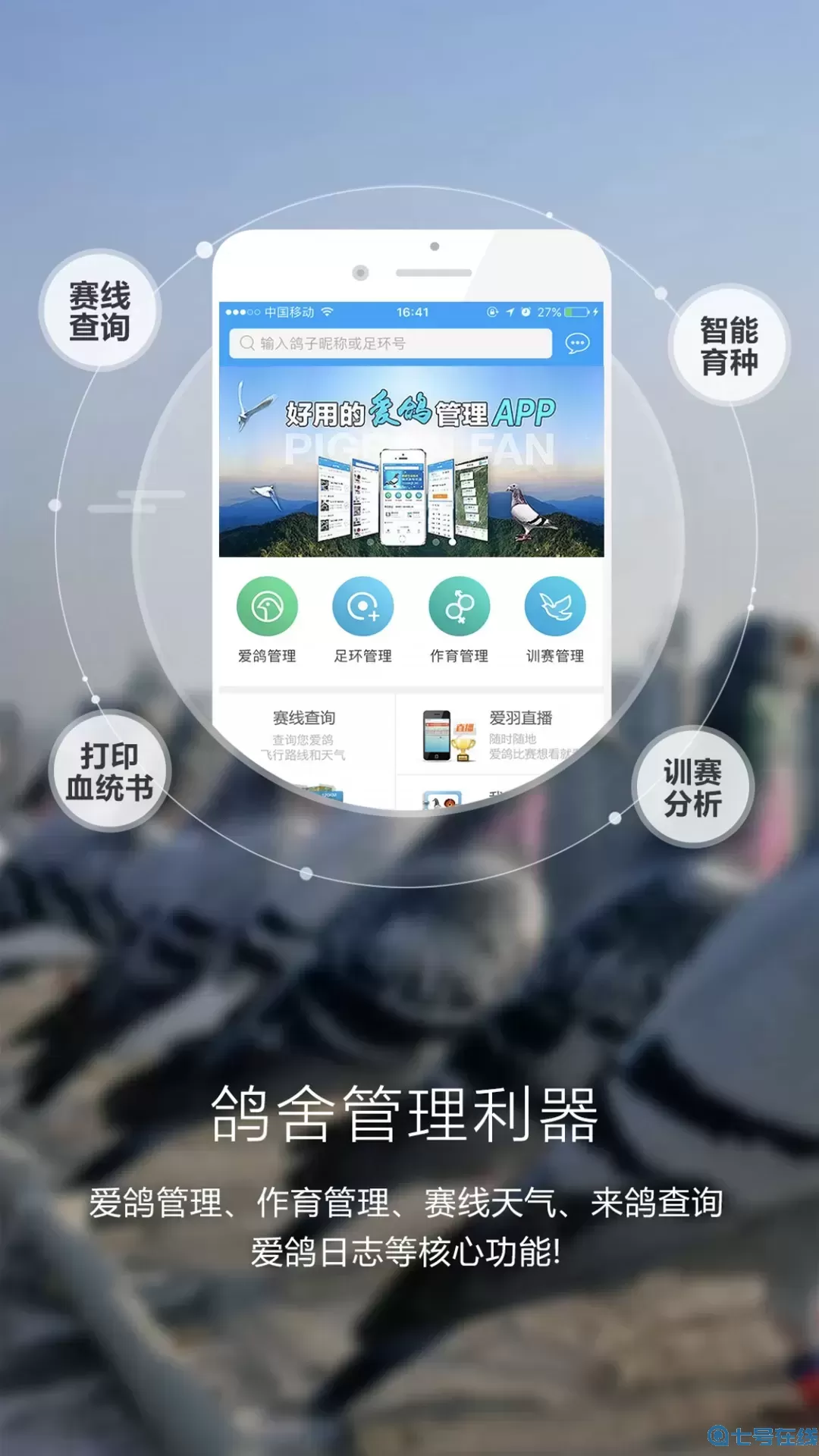 爱鸽者下载app