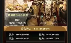 小小村长vip11要冲多少