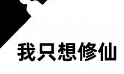 关于xp1024最新厂址的全面解析与前景展望