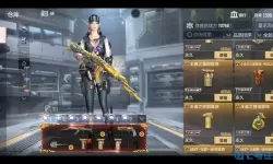 穿越火线手游共享号