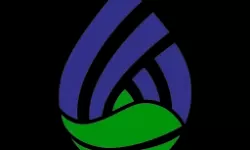 麻w豆w传w媒w在线播放：探索数字娱乐新潮流