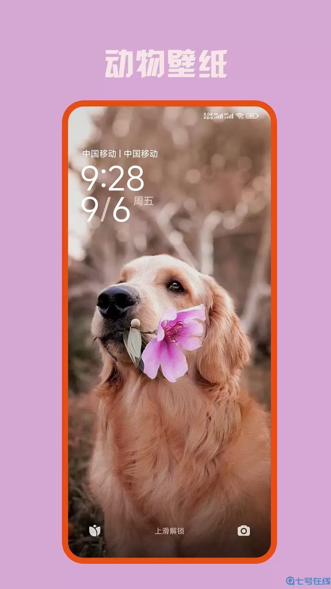口袋壁纸下载安装免费