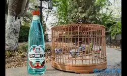 小小村长二锅头有什么用